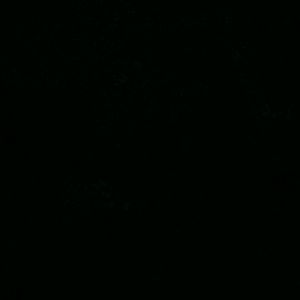 Meet your Posher, Katrina